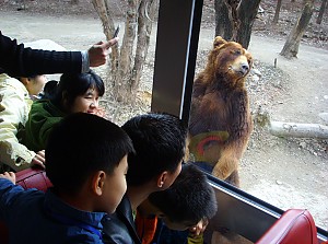 미래에셋 에버랜드