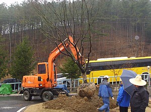 식목행사(렉스필드 지원)