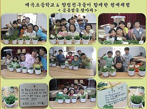 매곡초등학교 원예체험활동