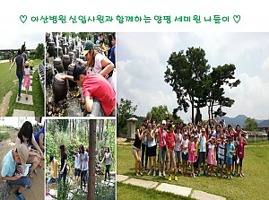 아산병원 신입사원 봉사자분들과 세미원 나들이.