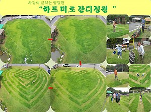 사랑이 넘치는 \"하트미로 잔디정원\"으로 구경오세요~!