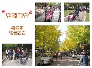 현대해상과 함께하는 용문산 가을체험