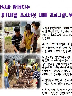 경기재활프로그램/표고버섯재배\"